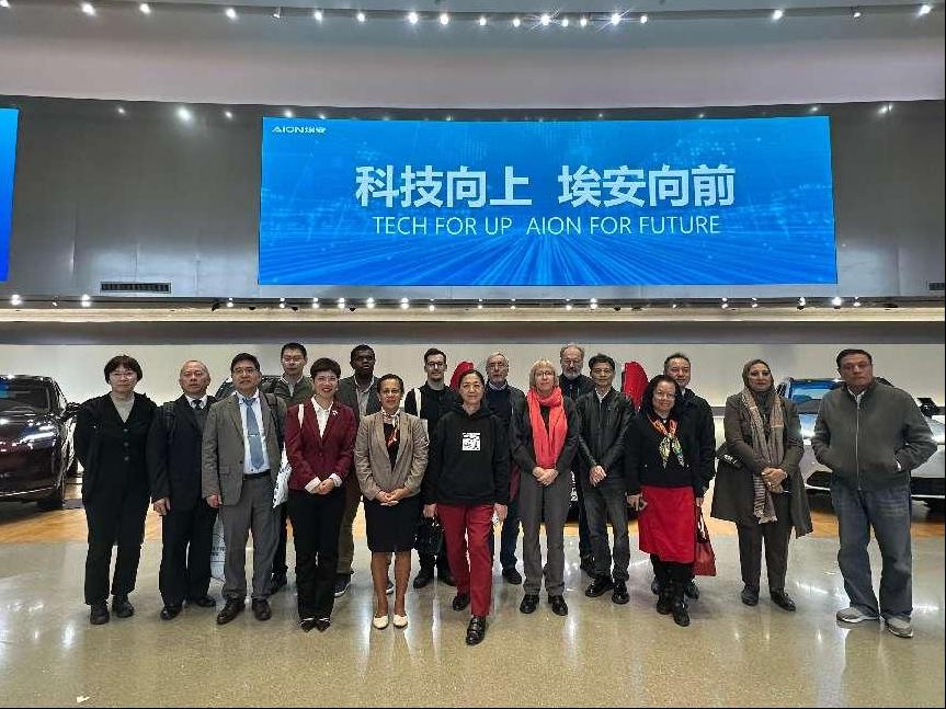 image7jpeg image7jpeg