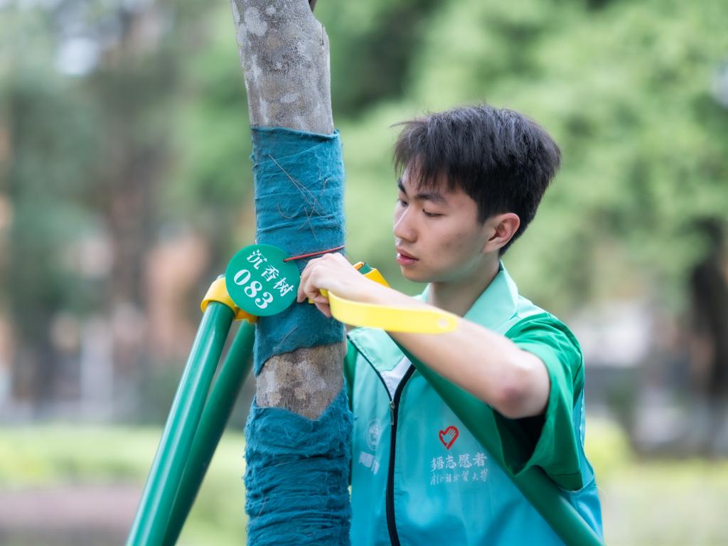 福利导航