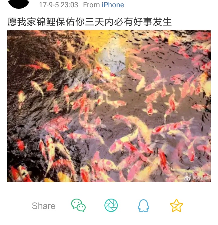福利导航