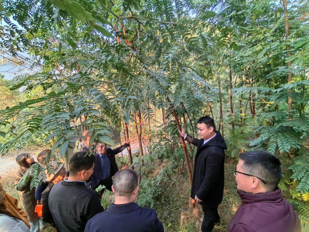 福利导航