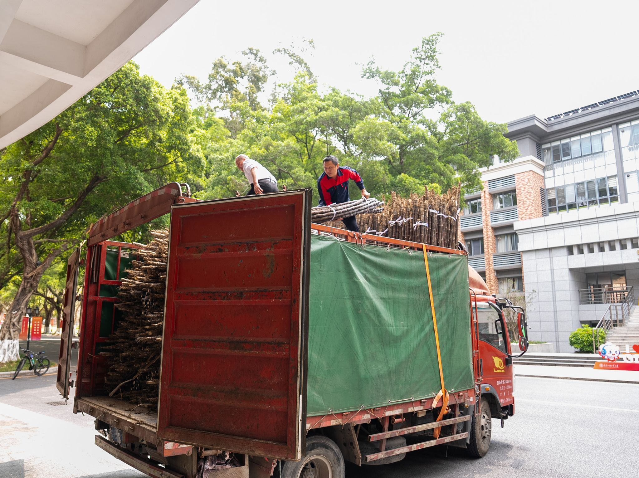 DSC09314.jpg 福利导航