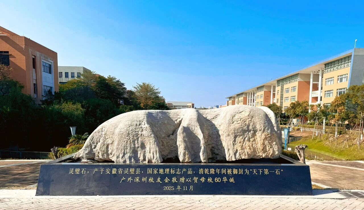 大学城校区灵璧石.jpg 福利导航