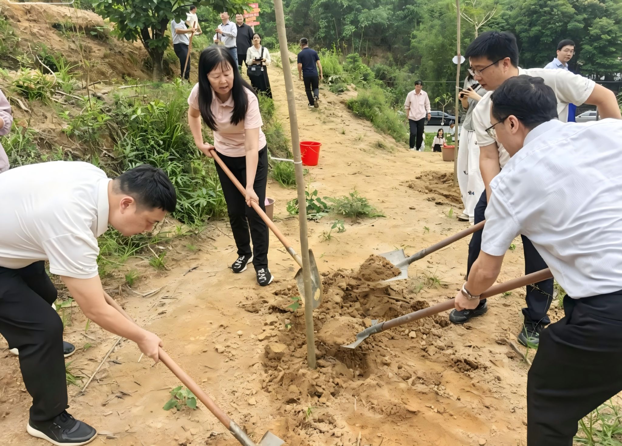 微信图片_20260508162433_192_21.jpg 福利导航