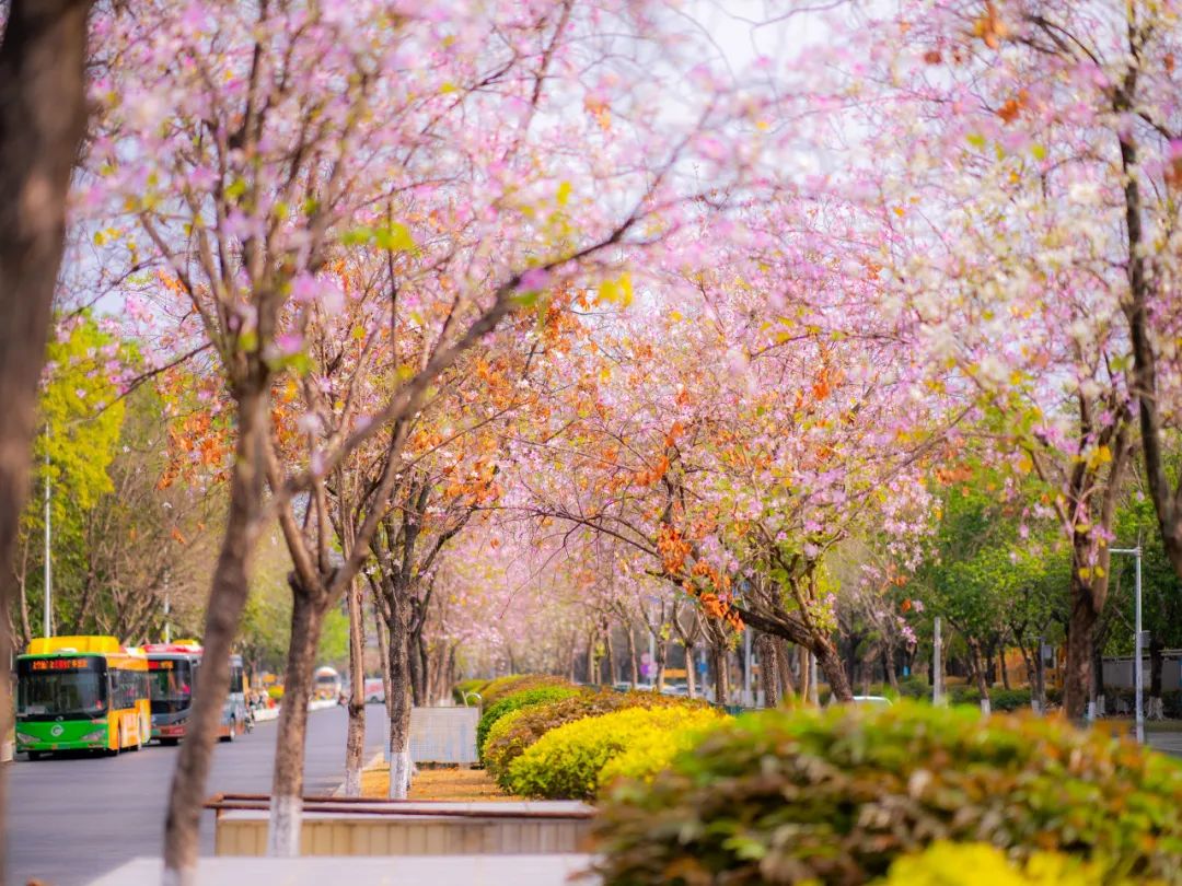 春和景明.jpg 福利导航